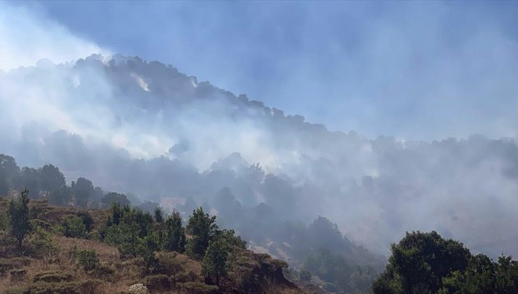 Adıyaman’da çıkan örtü yangınları kontrol altına alındı