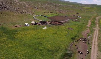 Ağrı’da göçerler Sinek Yaylası’nda çadırlarını kurmaya başladı