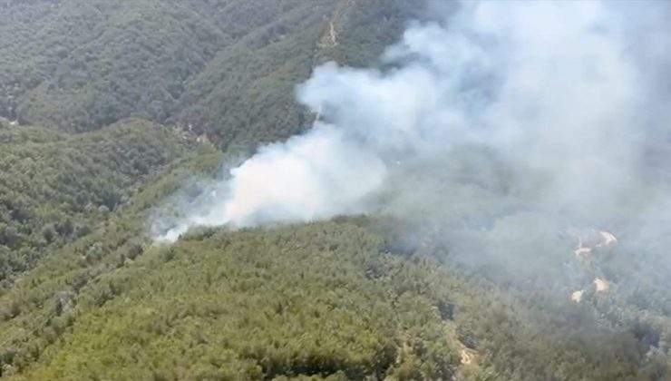 Antalya’nın Manavgat ilçesinde ormanlık alanda yangın çıktı