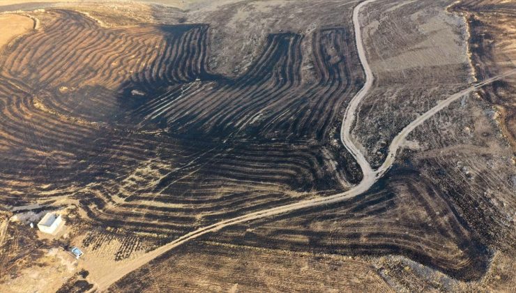 Diyarbakır ve Mardin arasında anız yangını: 5 ölü