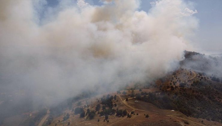 Elazığ’da ormanlık alanda çıkan yangına müdahale ediliyor