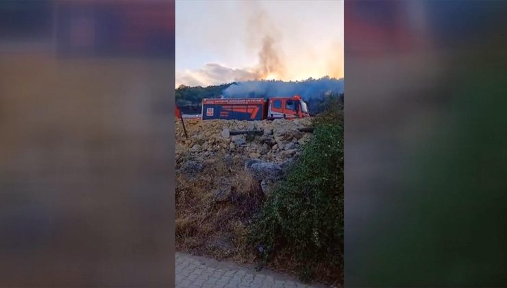 Gaziantep’te ormanlık ve makilik alanda çıkan yangın söndürüldü