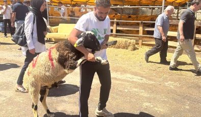 Kurban Satış Pazarlarında Son Durum