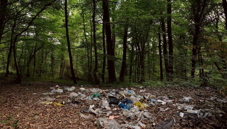 İstanbul’un ormanlık alan ve plajlarında tatilden geriye çöpler kaldı