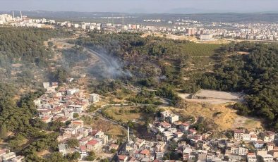 İzmir’de çıkan orman yangını kontrol altına alındı