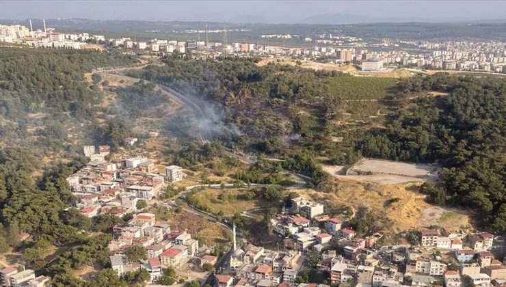 İzmir’de çıkan orman yangını kontrol altına alındı