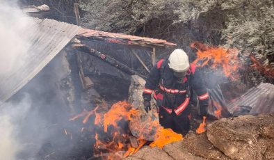 Malatya’da 600 dönümlük anız arazisi yandı, bir inek telef oldu