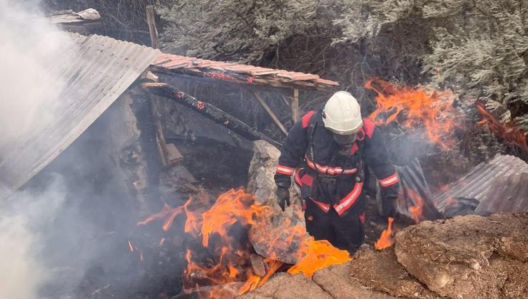 Malatya’da 600 dönümlük anız arazisi yandı, bir inek telef oldu