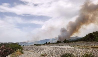 Muğla’daki Orman Yangını Denizli Sınırına Sıçradı