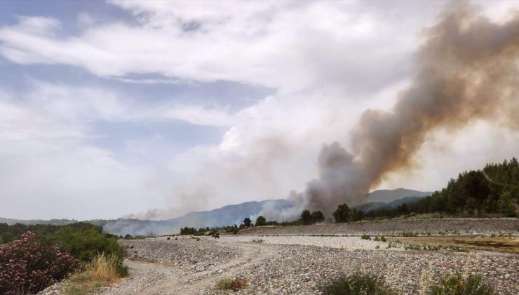 Muğla’daki Orman Yangını Denizli Sınırına Sıçradı