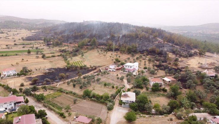 Muğla’nın Milas ilçesinde çıkan orman yangını kontrol altına alındı