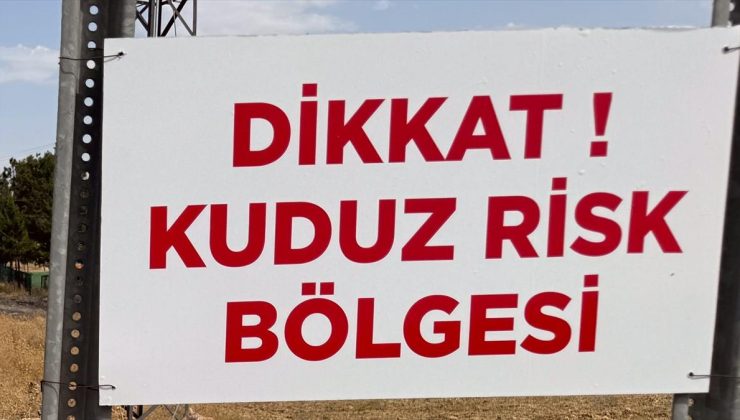 Niğde’de sahipsiz köpeğin bir kişiyi ısırdığı mahallede kuduz karantinası başlatıldı