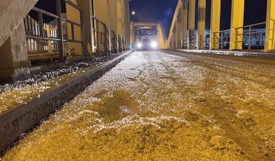 Sakarya’da birgün sineklerinin “ölüm uçuşu” başladı