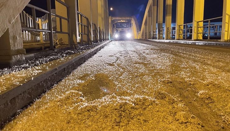 Sakarya’da birgün sineklerinin “ölüm uçuşu” başladı