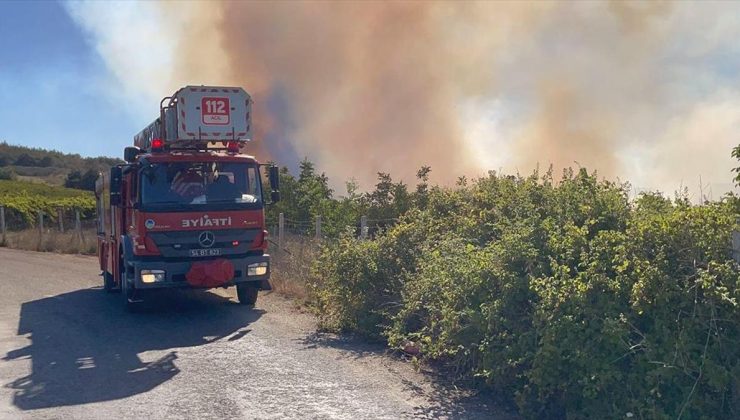 Sakarya’da ormanlık alanda çıkan yangın kontrol altına alındı