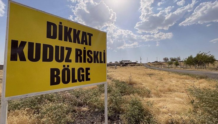 Şanlıurfa’da 1 mahalle kuduz nedeniyle karantinaya alındı