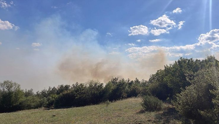 Tokat’ta ormanlık alanda çıkan yangın kontrol altına alınmaya çalışılıyor