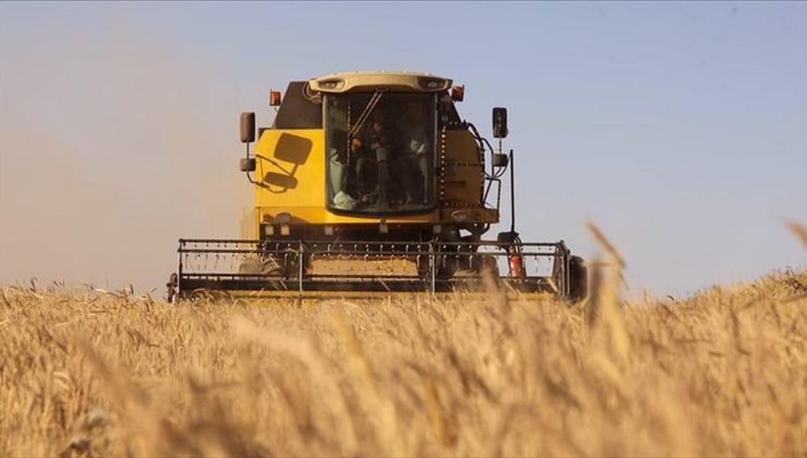 Toprak Mahsulleri Ofisi, bu sezon üreticilerden 1 milyon tonun üzerinde buğday ve arpa aldı