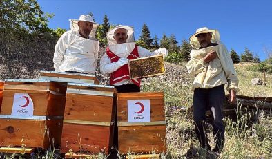 Türk Kızılayın aldığı kovanlara arıcılar bakacak, balın geliri öğrencilere burs olacak