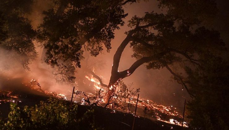 ABD’nin California eyaletindeki orman yangınlarında 370 bin dönümden fazla alan yandı