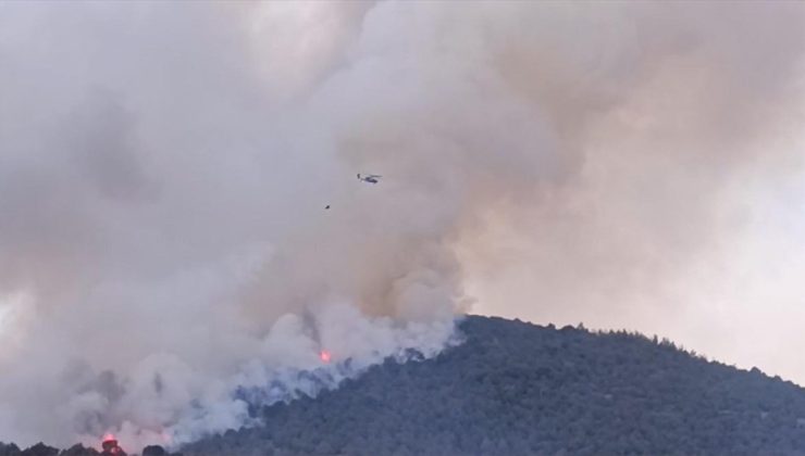 Balıkesir’de çıkan orman yangınını kontrol altına alma çalışmaları sürüyor