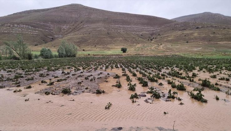 Bayburt’ta dolu ve sağanak ekili alanlara zarar verdi