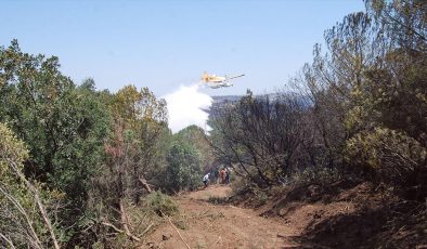 Çanakkale’nin Bayramiç ilçesinde çıkan orman yangını kontrol altına alındı