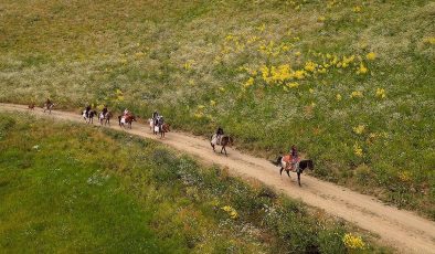 Gürpınar İlçesinde Berivan Kadınlar: Süt Sağmanın Zorlu Yolu