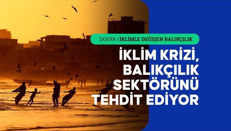 İklim değişikliği balıkçıların hayatını tehlikeye atıyor