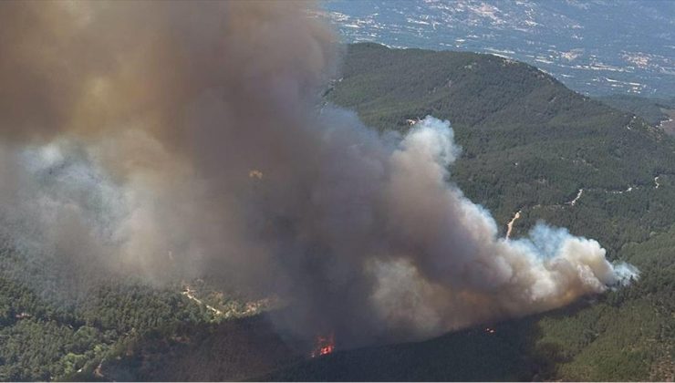 İzmir Bergama’da ormanlık alanda çıkan yangına müdahale ediliyor