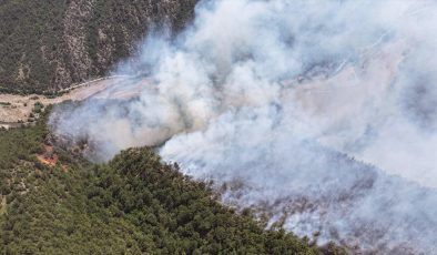 Karabük’te çıkan orman yangınına müdahale ediliyor