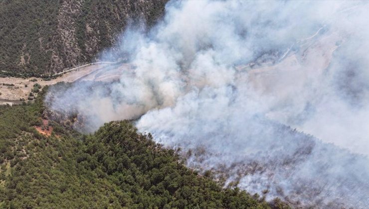 Karabük’te çıkan orman yangınına müdahale ediliyor