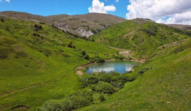 Kop Dağı: Biyoçeşitlilik ve Doğal Güzellikler