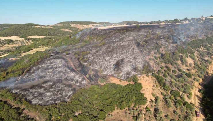 Manisa’nın Kula ilçesindeki orman yangını söndürüldü