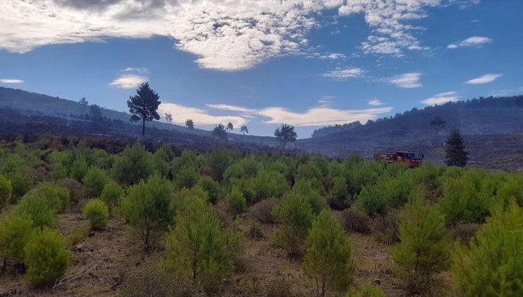 Manisa’nın Soma ilçesindeki orman yangını kısmen kontrol altında