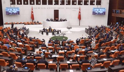 Meclis, sahipsiz hayvanlara yönelik kanun teklifinin görüşmelerinin tamamlanmasının ardından tatile girecek