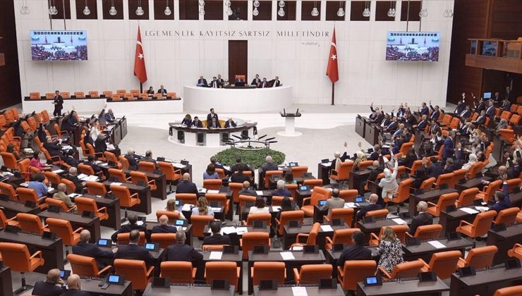 Meclis, sahipsiz hayvanlara yönelik kanun teklifinin görüşmelerinin tamamlanmasının ardından tatile girecek