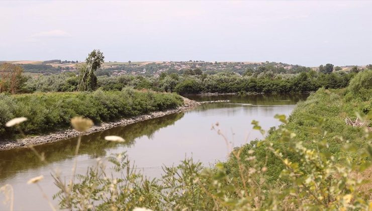 Meriç Nehri’nde su akışının hızlanması için temizlik yapılacak