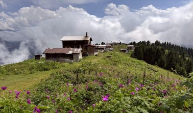 RİZE’de Doğaya Duyarlılık: Çamlıhemşin Yaylalarında Çöp Sorununa Çözüm