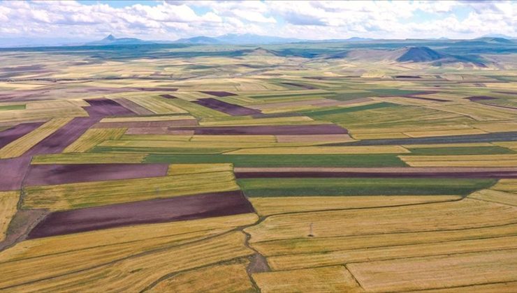 Uzmanlar arsa alırken dikkat edilmesi gerekenleri açıkladı