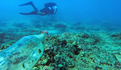 WWF’nin Akdeniz Günü Raporu: ‘Hasta Bir Çevrede Sağlık Olmaz’