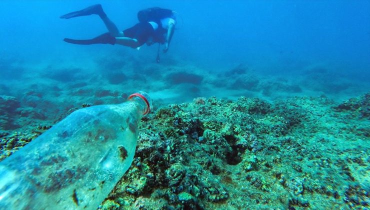 WWF’nin Akdeniz Günü Raporu: ‘Hasta Bir Çevrede Sağlık Olmaz’