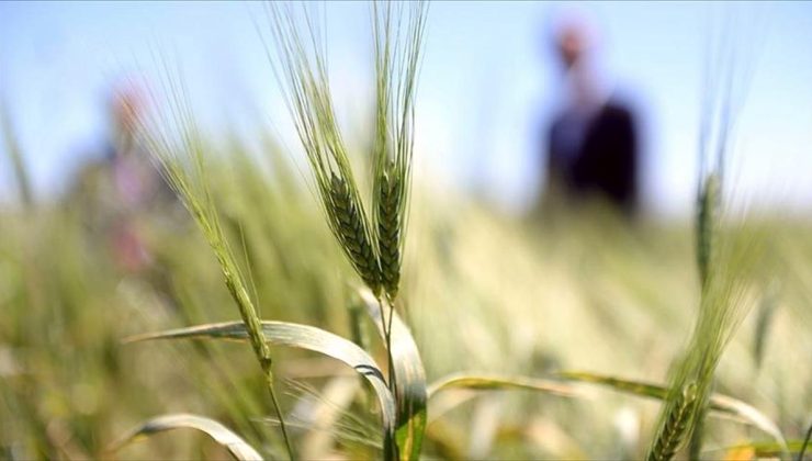 “14. Uluslararası Tarım, Orman ve İnsan Fotoğraf Yarışması”na başvurular 31 Ağustos’ta sona erecek