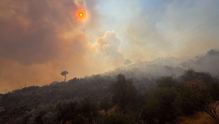 Aydın Germencik’te zeytinlik ve ormanlık alanda çıkan yangına müdahale ediliyor