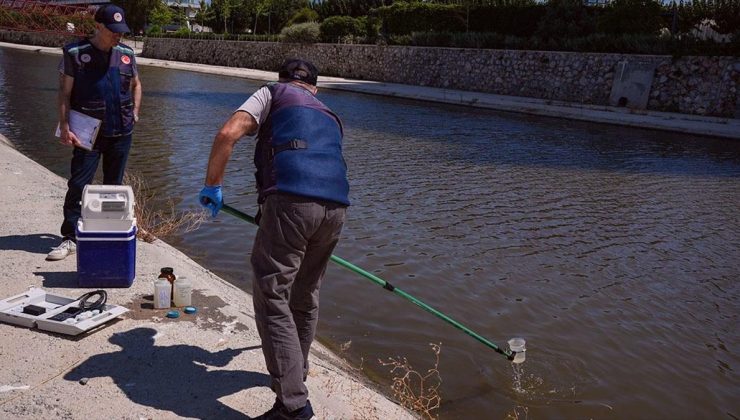 Balık ölümlerinin görüldüğü İzmir Körfezi’nde yoğun denetim