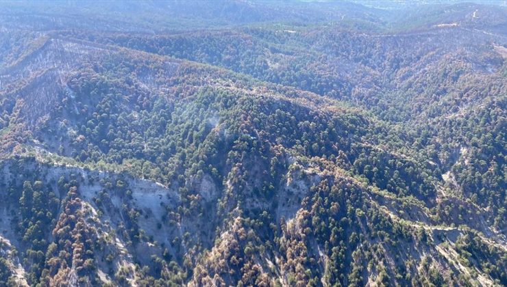 Bolu’daki orman yangınında soğutma çalışmaları sürüyor