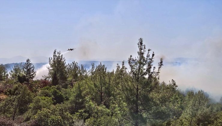 Çanakkale’nin Eceabat ilçesindeki orman yangınına müdahale ediliyor