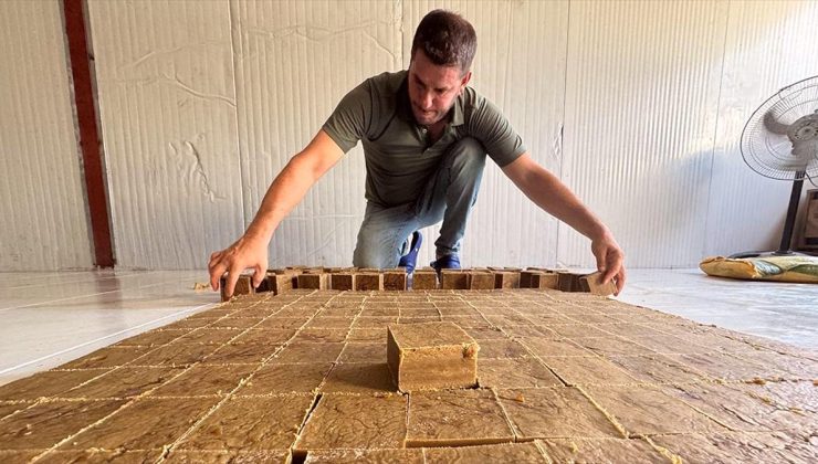 Deprem nedeniyle ayrıldığı memleketine organik sabun üretimini sürdürmek için döndü