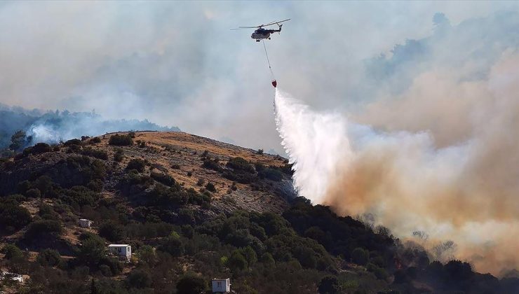 Hava sıcaklıklarındaki artış orman yangını riskini artırdı, uyarılar birbiri ardına yapıldı