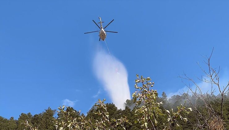 Isparta’da çıkan orman yangını söndürüldü